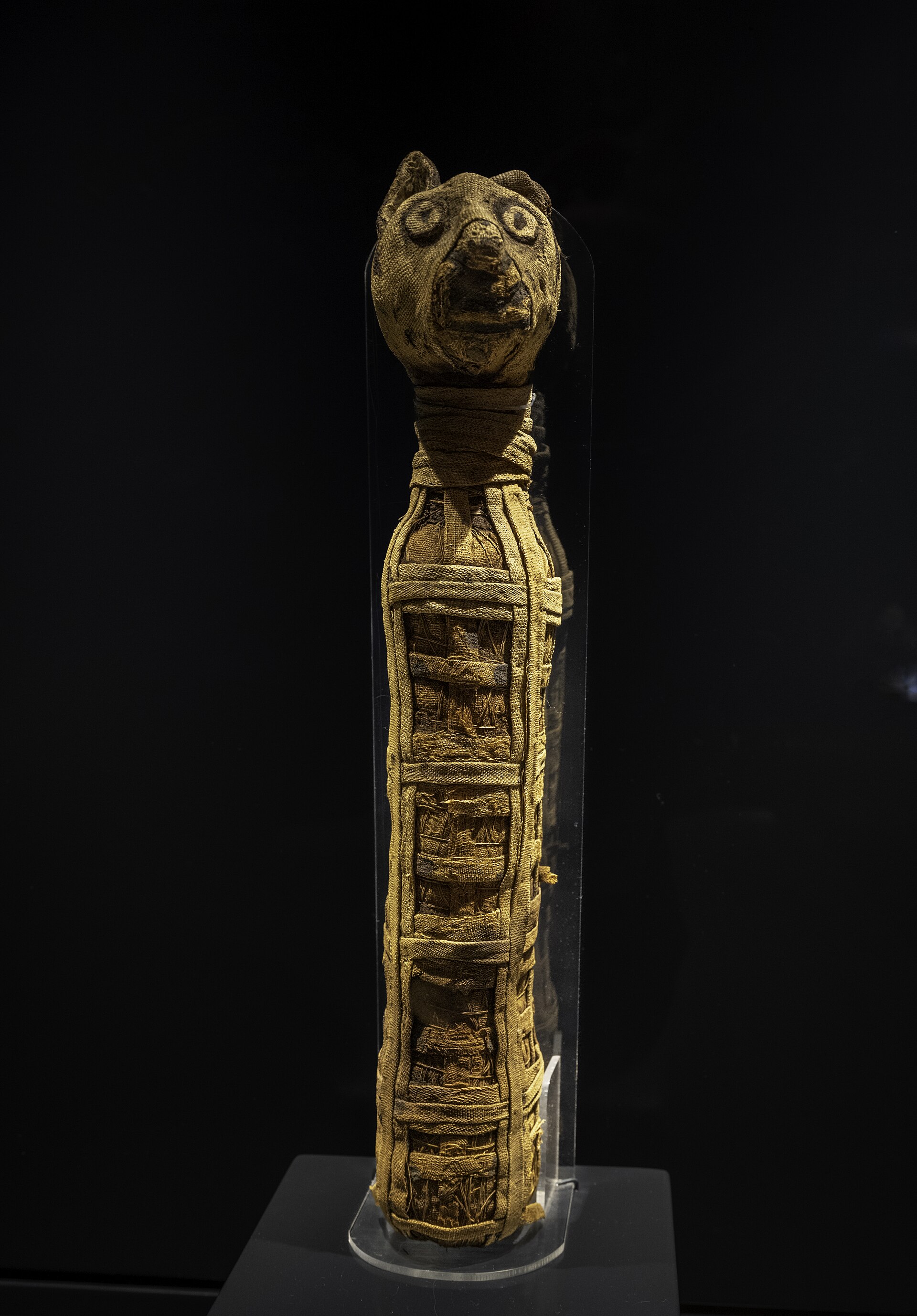 Ancient Egyptian animal mummy at the Musee de la civilisation