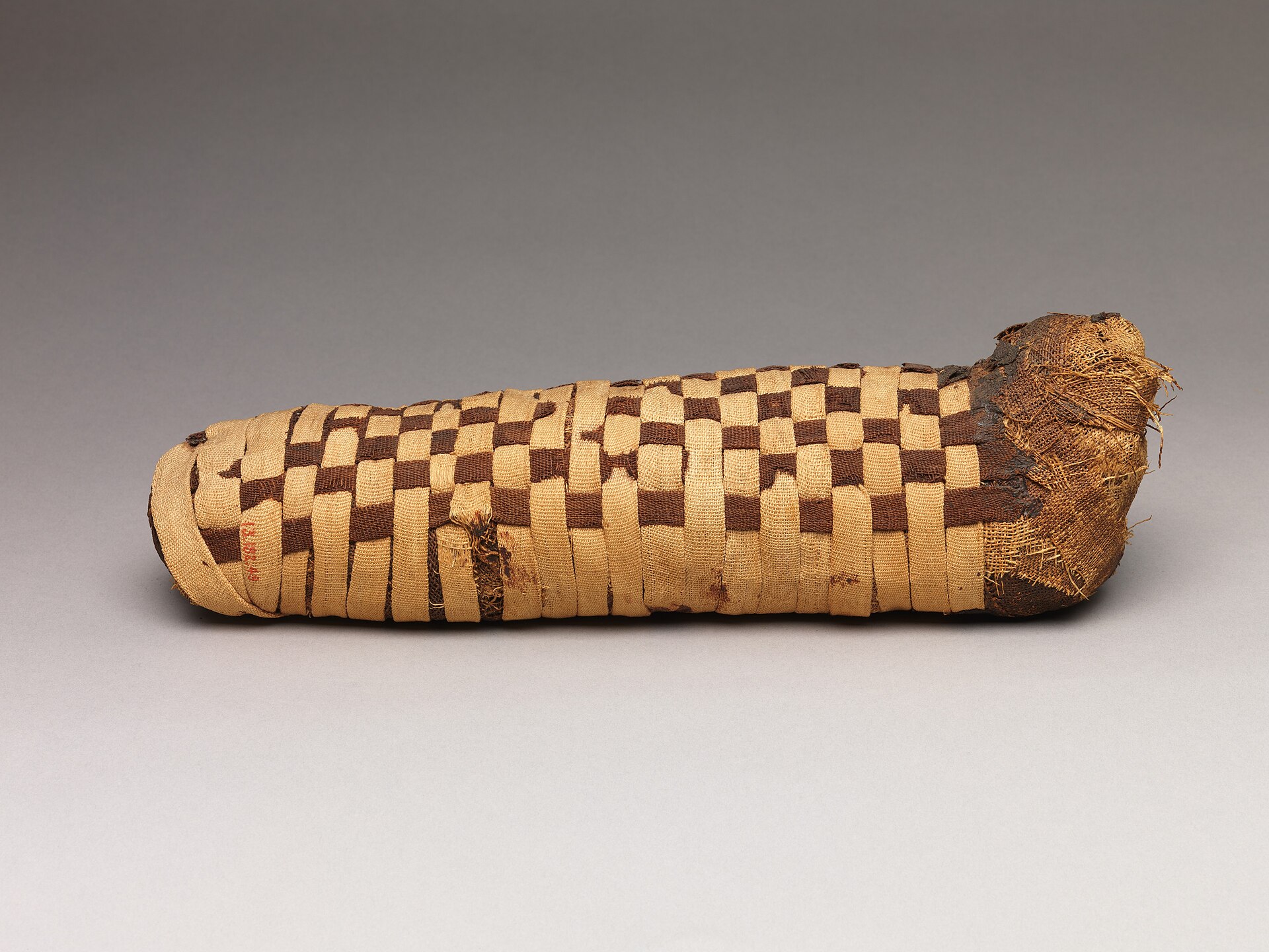 Sacred animal mummy containing a dog