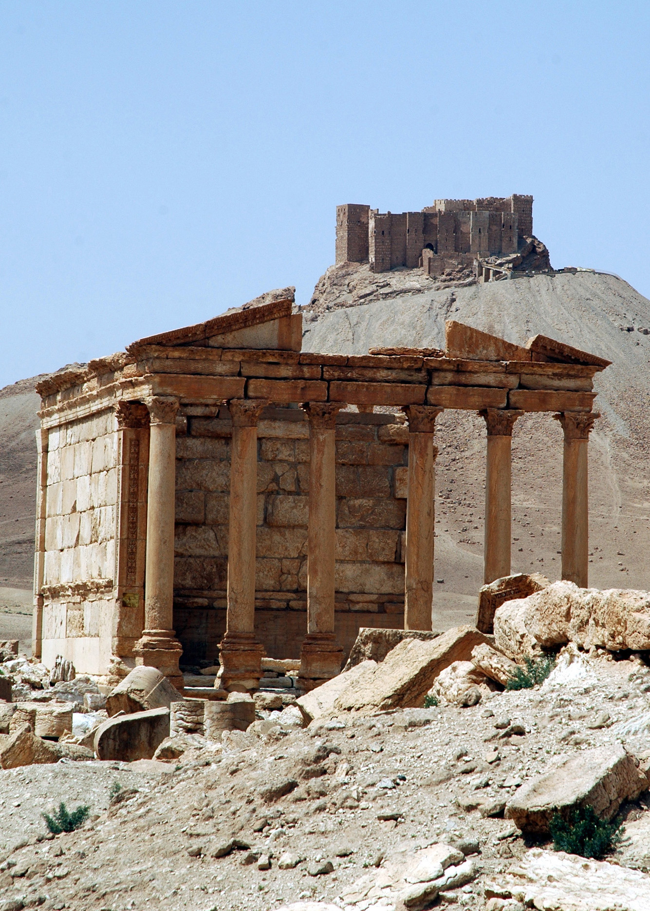 Palmyra